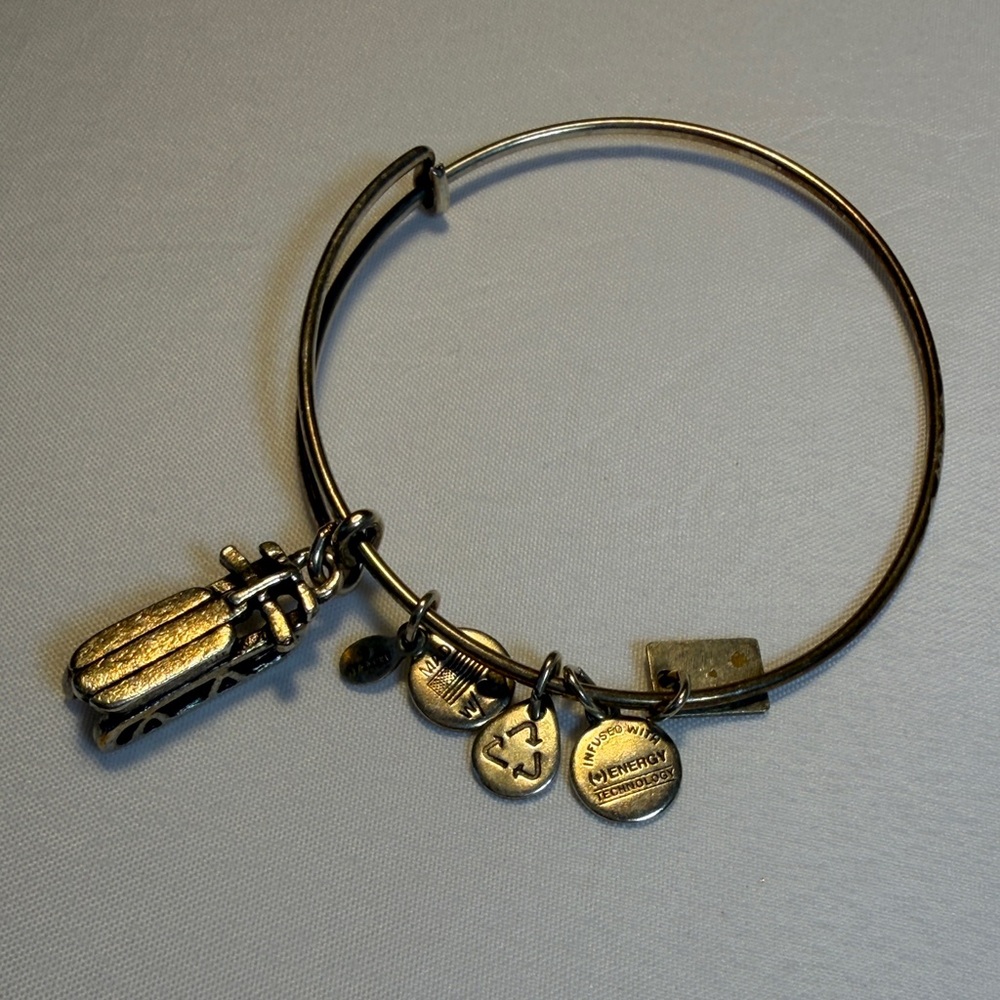 Alex and Ani Winter Sled 🛷 Charm Bangle